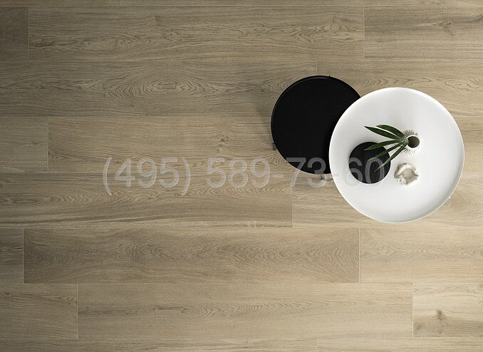 OAK GINGER RTT